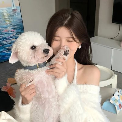 做一只鸟真不容易